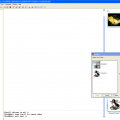 More information about "mIRC Avatar System (maS)"