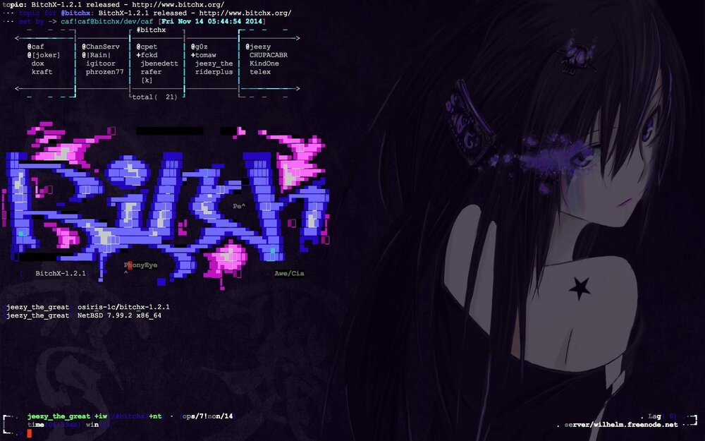 Screenshot-osiris-netbsd.jpg