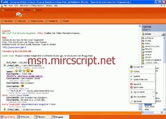 msnscript.jpg